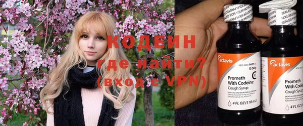 молекула духа Арсеньев