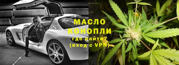 молекула духа Арсеньев