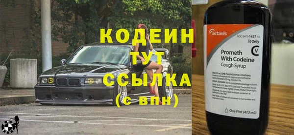 молекула духа Арсеньев