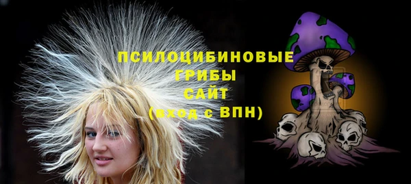 молекула духа Арсеньев