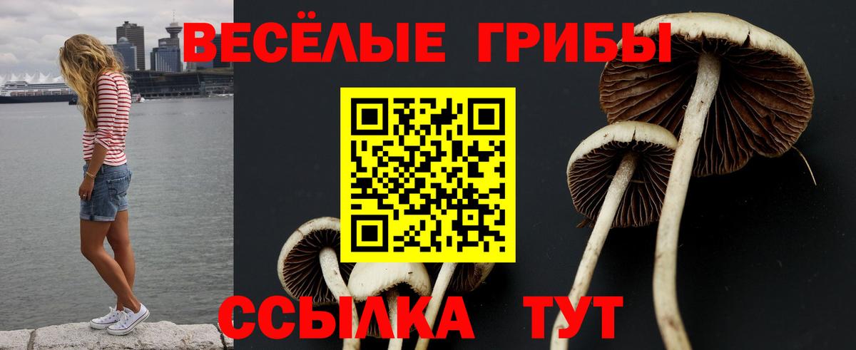 Галлюциногенные грибы мицелий Асбест